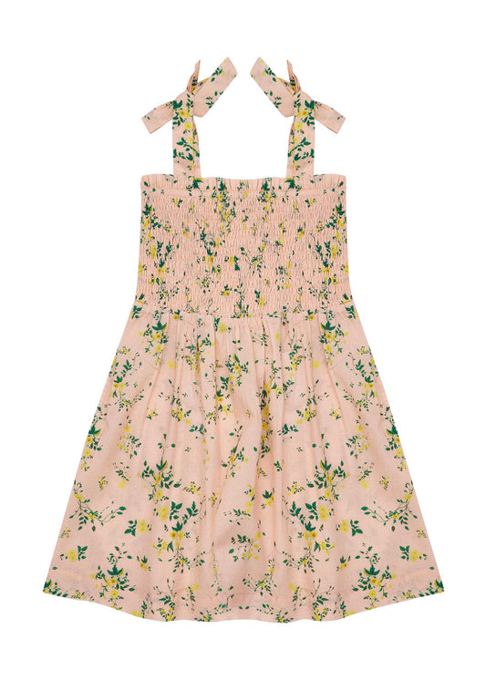 Nora Dress-Picnic Blooms